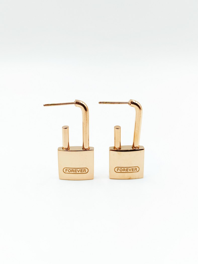 Earrings that Shine On Tarnish-Resistant Stainless Steel Rosegold Colour Lock Earrings for Stylish Women